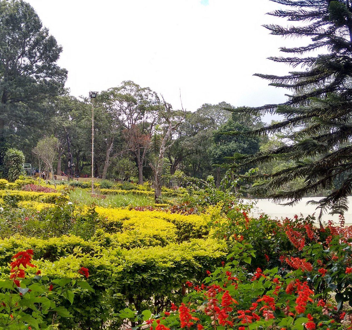 Rose Garden - Tourist place in Yercaud